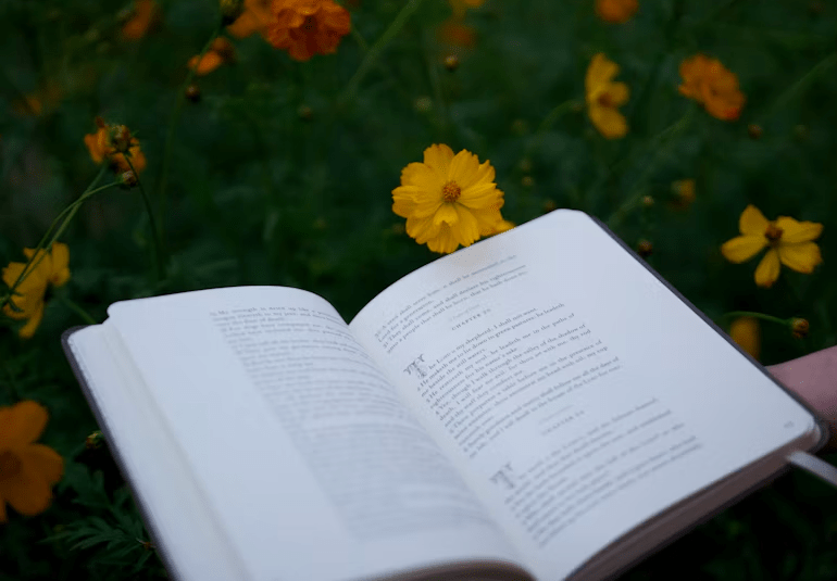 Books for Every Reader's Journey - Shopzeedeey